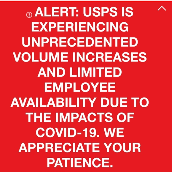 Meet your Posher, Abby- Posh Ambassador - Picture 9 of 13